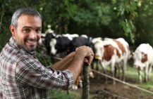livestock insurance
livestock insurance